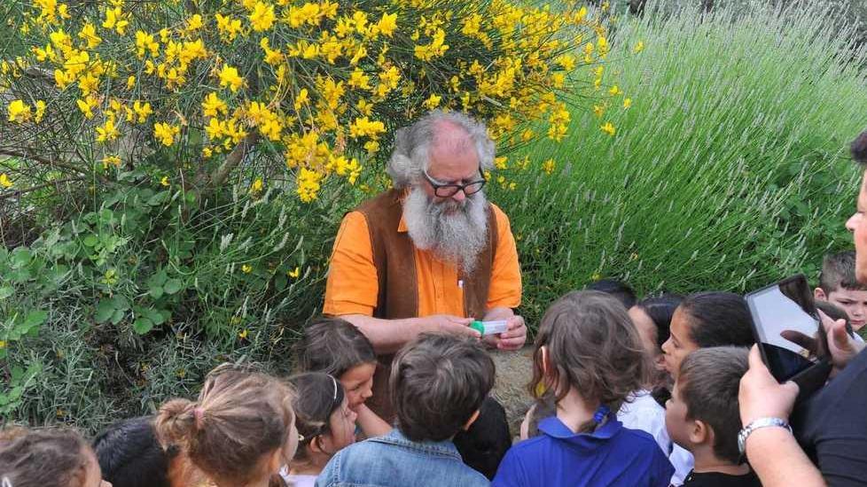 Viaggio nella natura tra insetti e piante per i piccoli dell’asilo