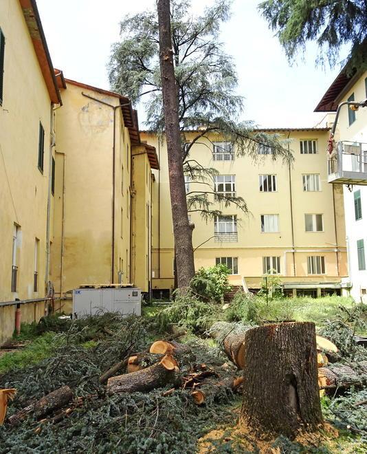 Motoseghe in azione all’ex ospedale: abbattuti gli alberi 