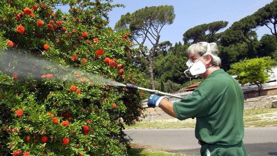 Interventi contro ratti e zanzare