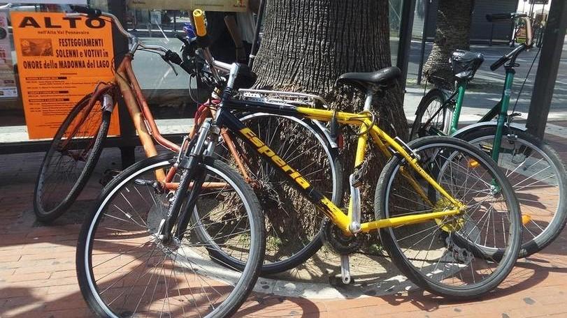 Pugno duro contro bici selvaggia