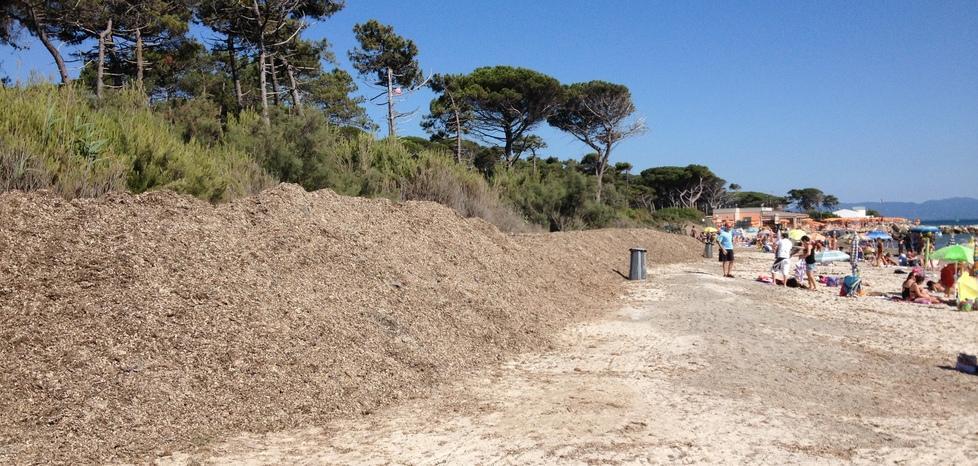 Vada, spiagge libere pulite dai balneari 