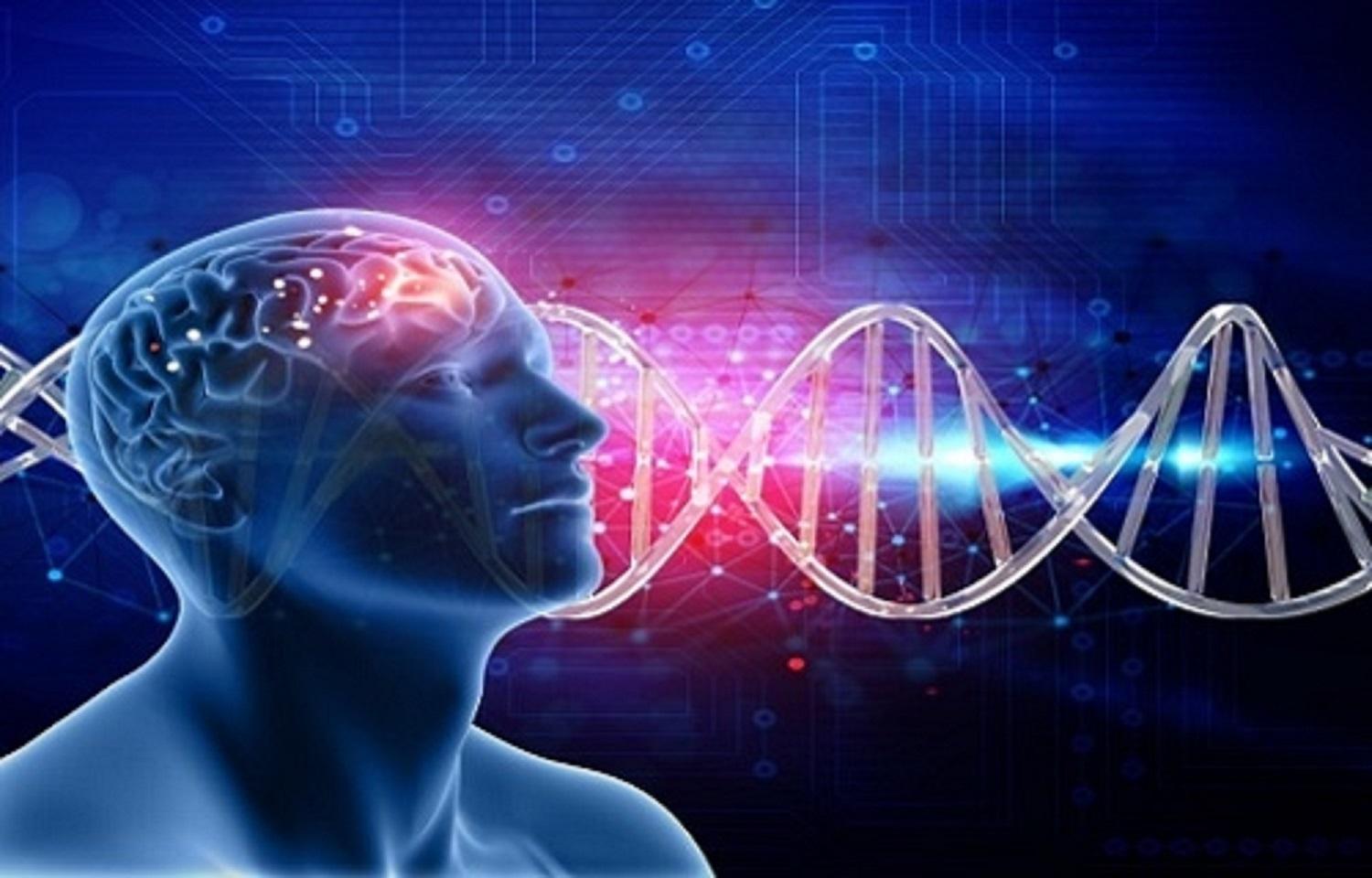 Scoperta la mutazione genetica che causa l'autismo