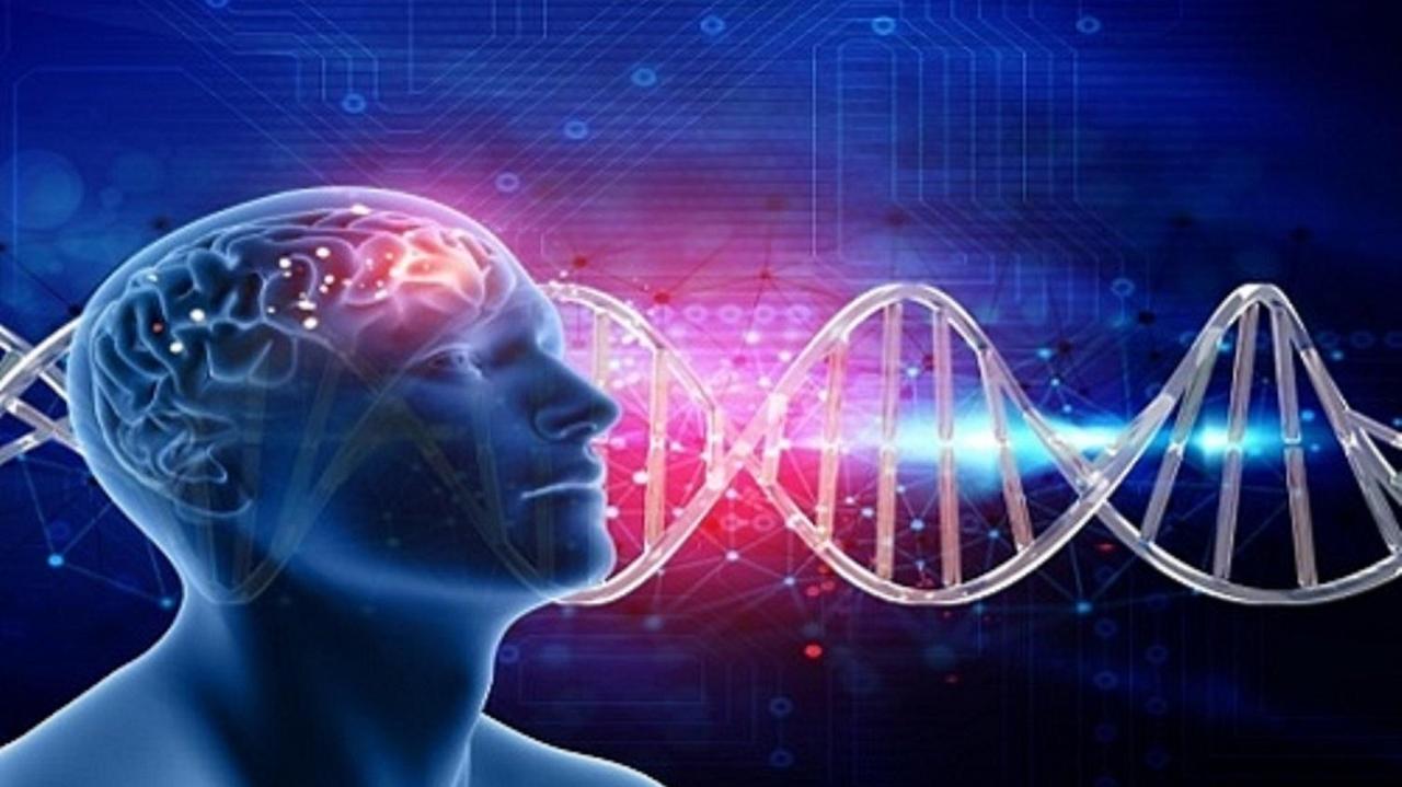 Scoperta la mutazione genetica che causa l'autismo