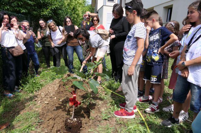 I Bambini Della Scuola Primaria Laura Poli Di Prato Hanno Piantato Un 