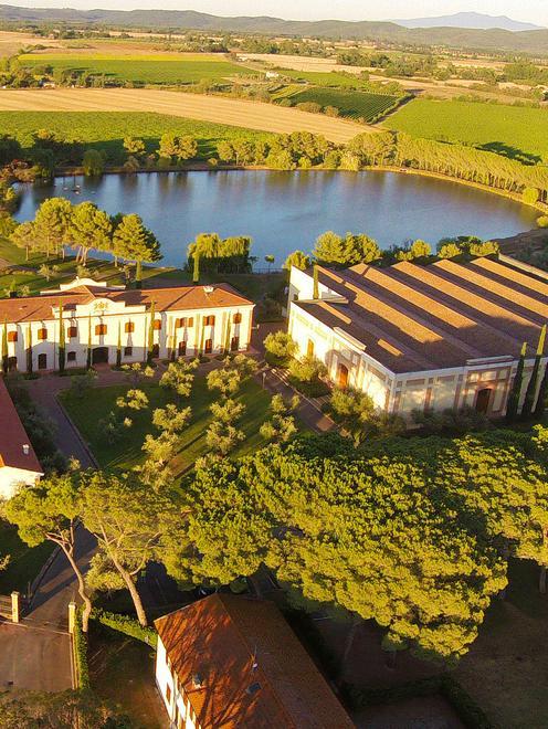 Il Consorzio in campo per la cultura 
