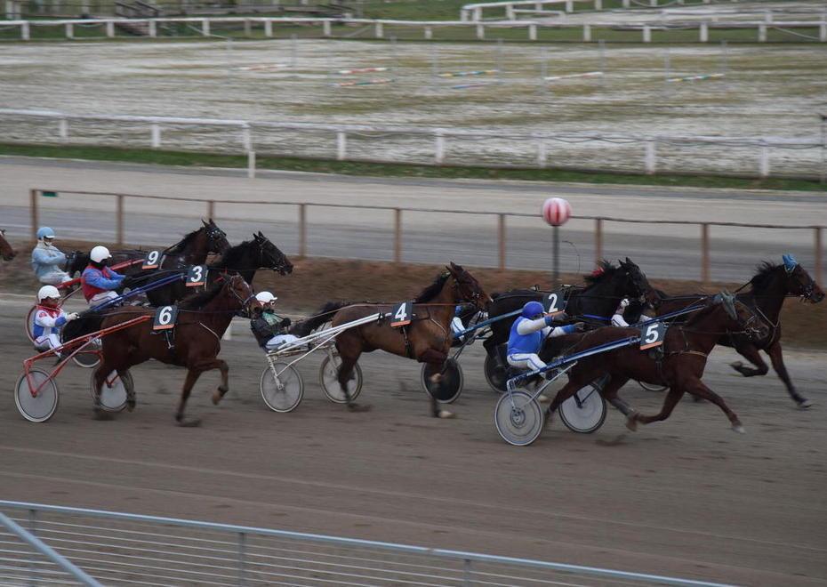 Galoppo a Follonica ma con riserva 