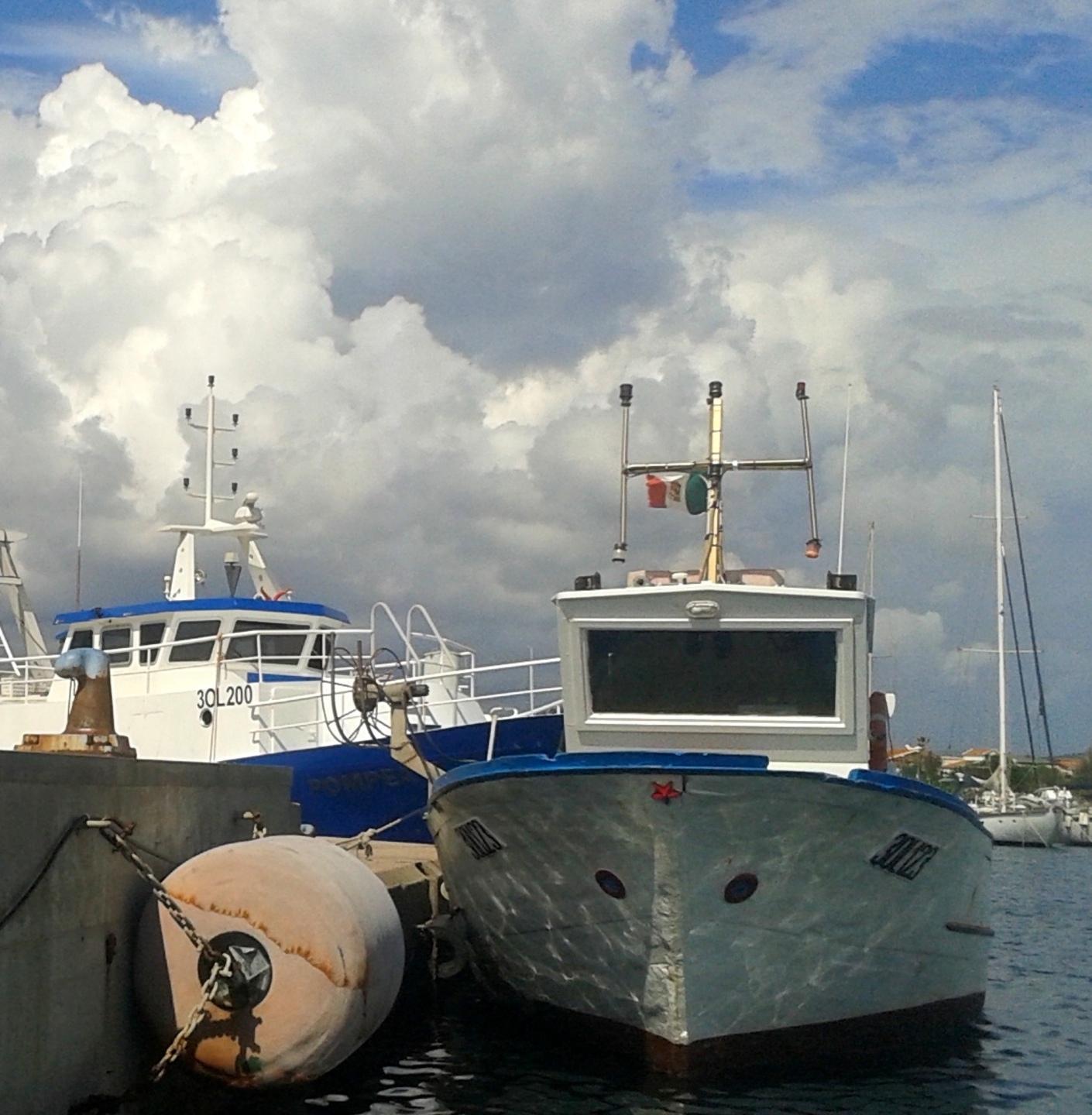 L’allarme dei pescatori: il nostro mare sta morendo