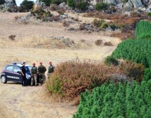 Droga, gli arrestati dal gip la difesa presenta i ricorsi 