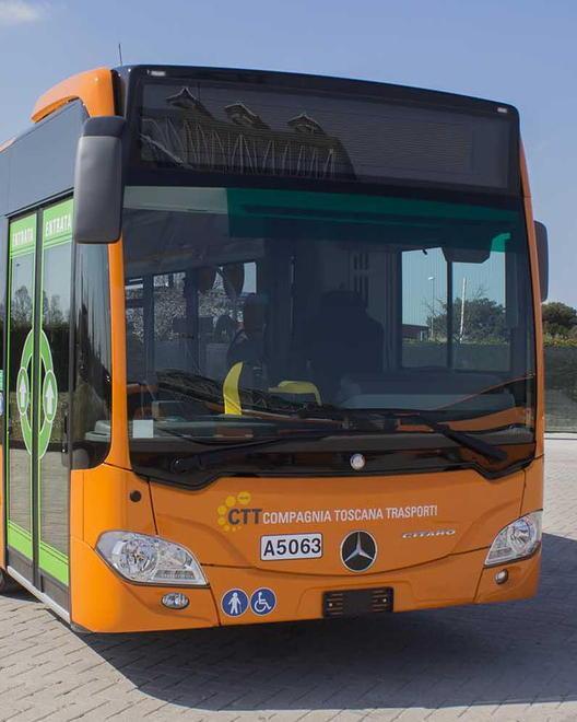 Tornano i pullman gratis per tutti sul litorale pisano