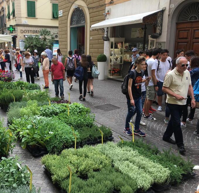 NEL RESTO DELLA PROVINCIA