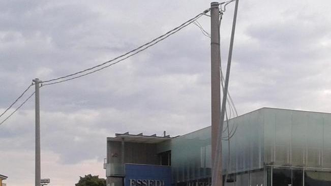 Un palo sui cavi dell’elettricità