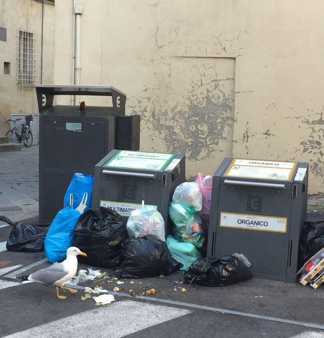 Vivere il centro storico contro il Comune «Diventeremo la città del bidoncino»