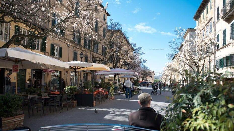 Troppi bar e gelaterie ovunque «Serve una moratoria urgente»