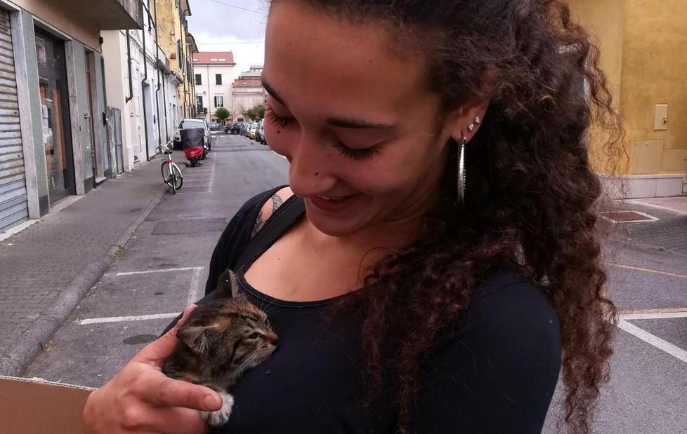 Gattino dispettoso, intervengono i vigili del fuoco
