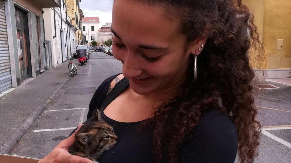 Gattino dispettoso, intervengono i vigili del fuoco