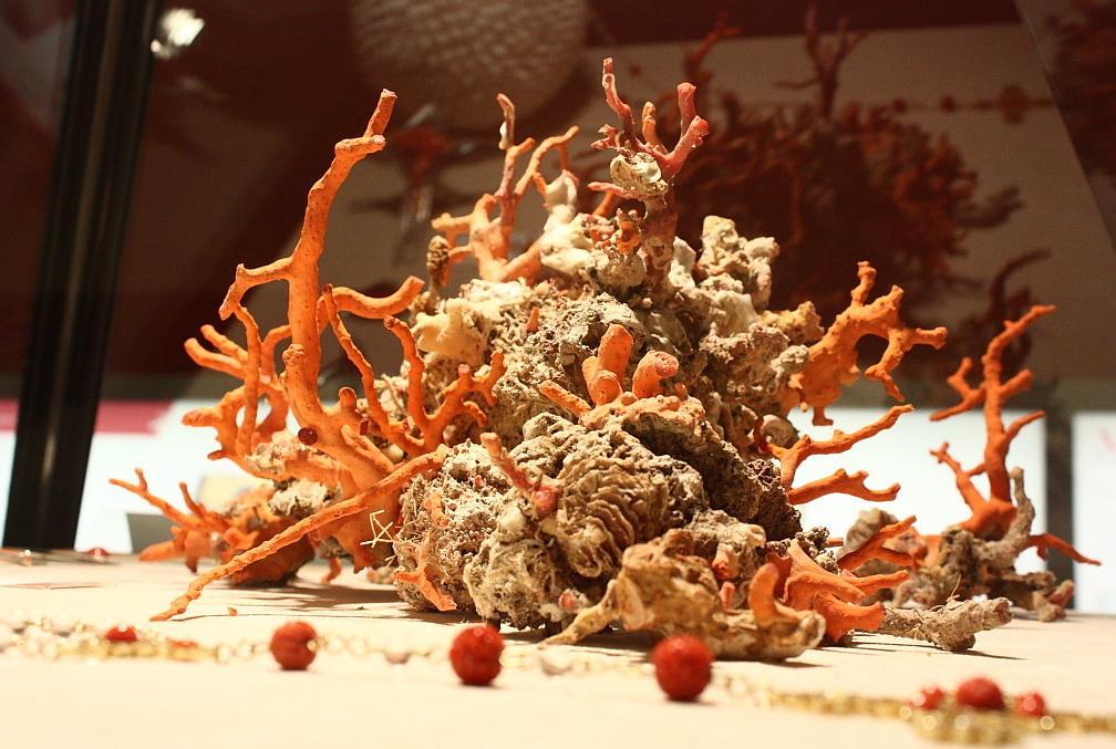 Il corallo e Alghero: l’intreccio di una città con il suo “oro rosso” 