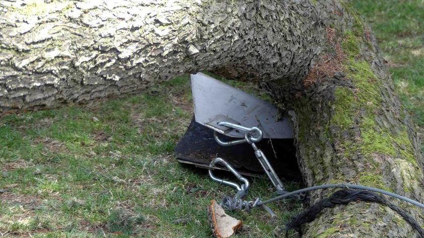 L'imbragatura che sorreggeva il ramo ha ceduto prima del crollo