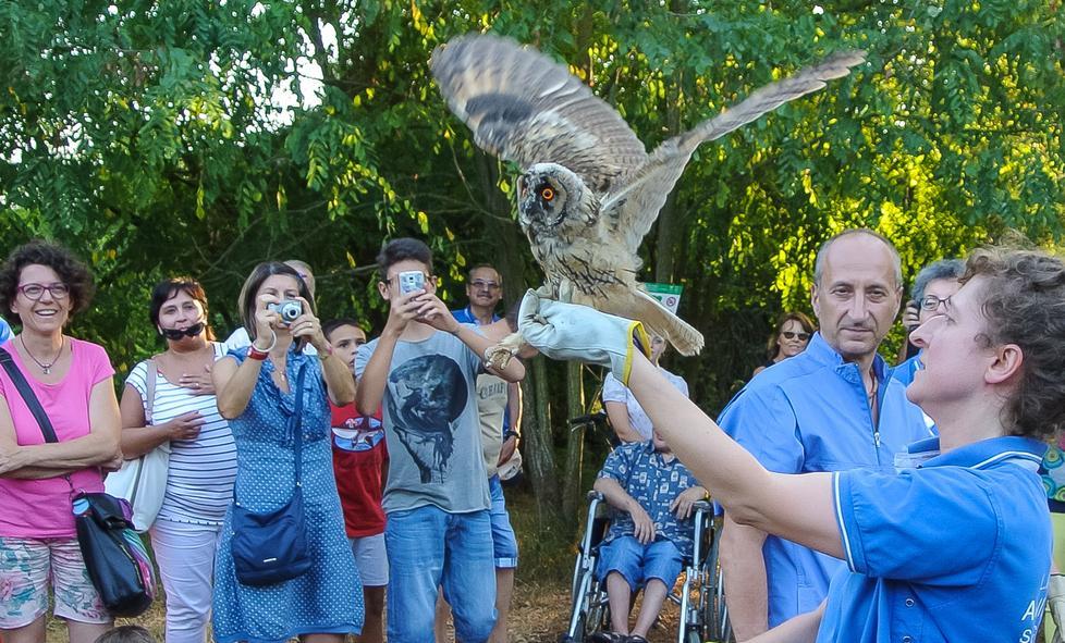 Visita notturna nell’oasi Garzaia