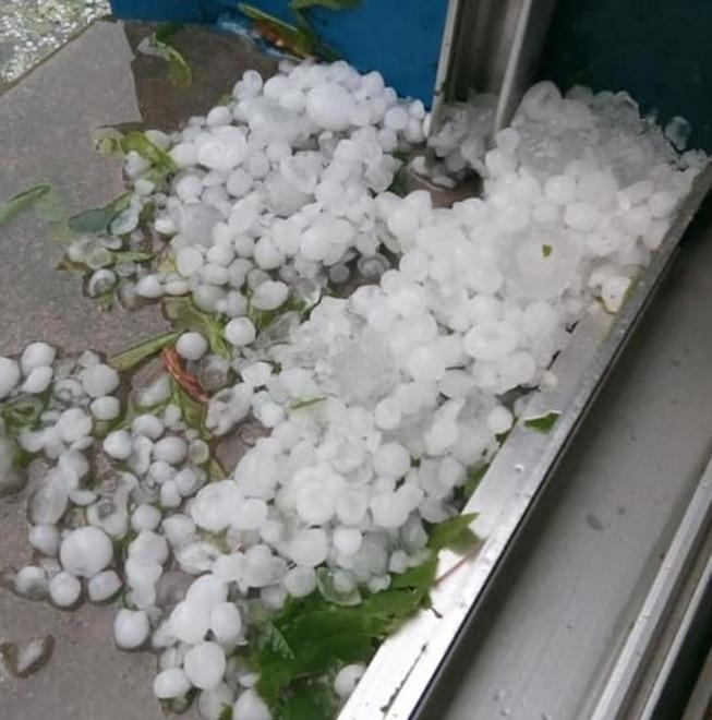 Violenta grandinata Devastati orti, auto tapparelle e colture 