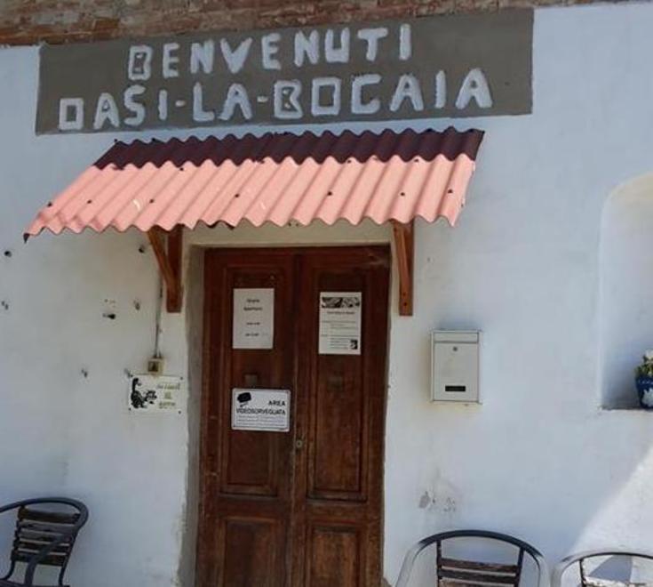 Comune e gattare d’accordo: la donazione va divisa a metà 