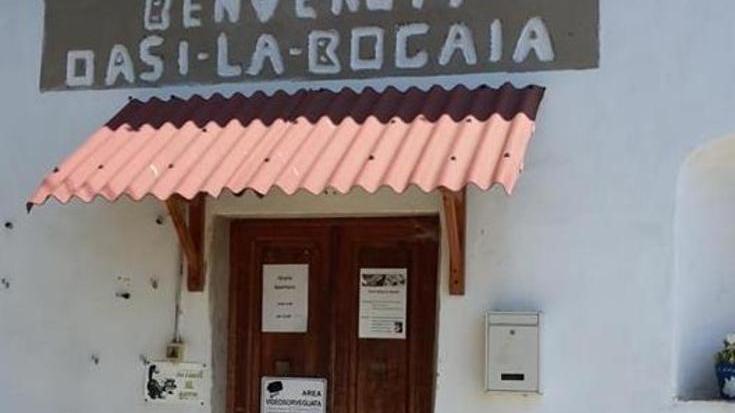 Comune e gattare d’accordo: la donazione va divisa a metà