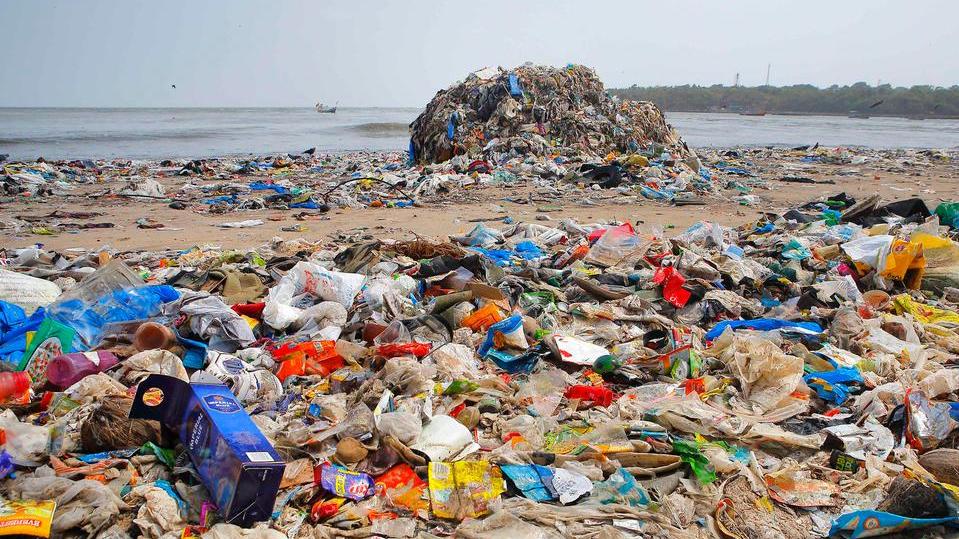 «Dall’Elba la guerra alla plastica in mare»