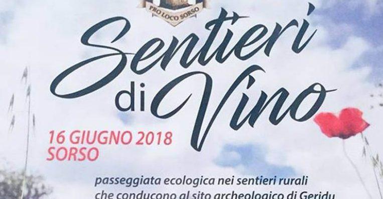 Sentieri di vino, passeggiata alla scoperta della Romangia