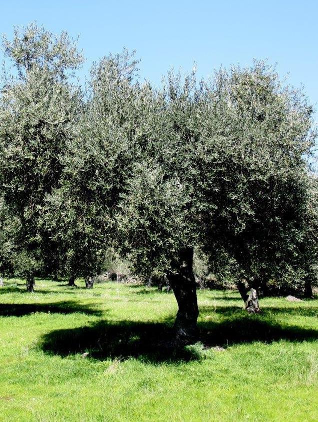 A scuola di natura e ambiente 