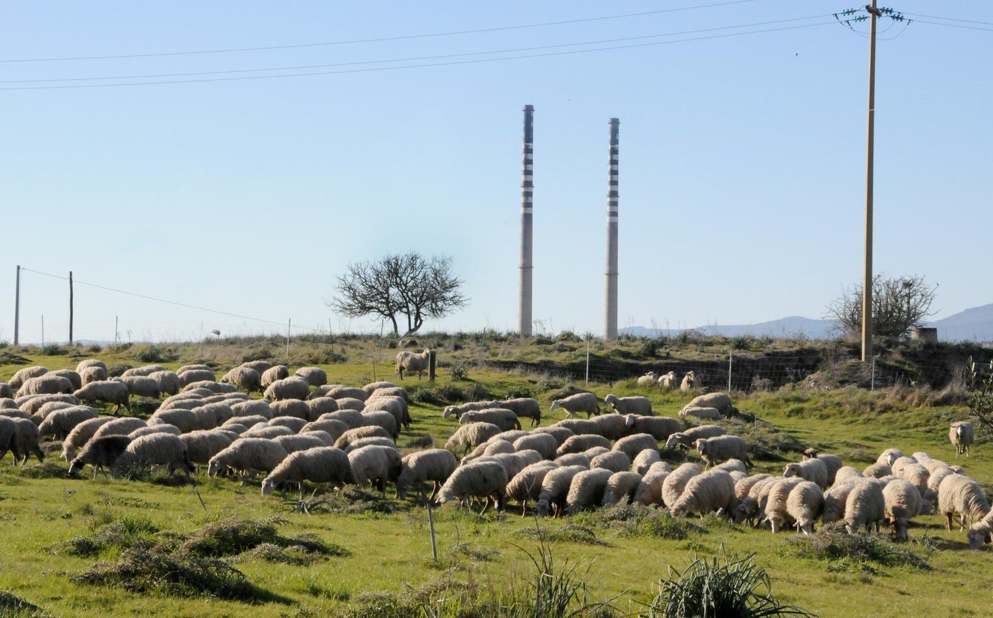 Unità di crisi per Ottana: venerdì incontro con Paci 
