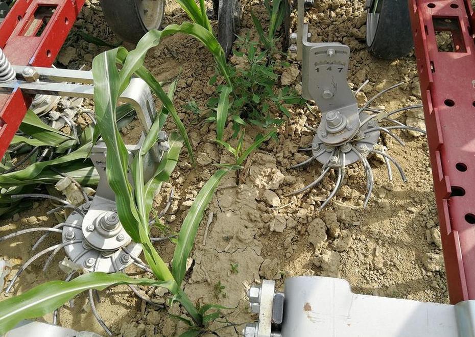 Innovazione, due giornate sull’agricoltura biologica 