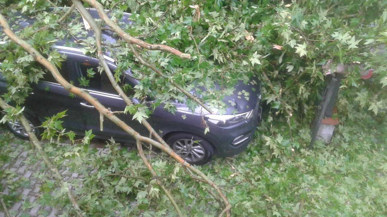 L'auto danneggiata a Cona