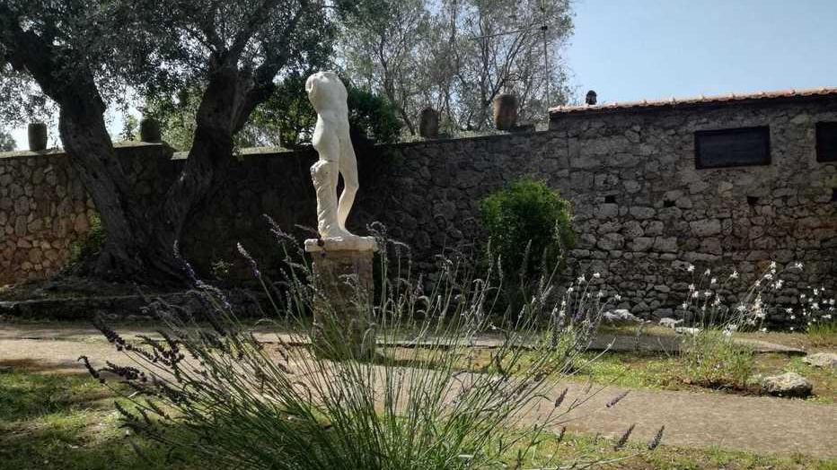 Cosa festeggia i 70 anni Dionisio spunta in giardino