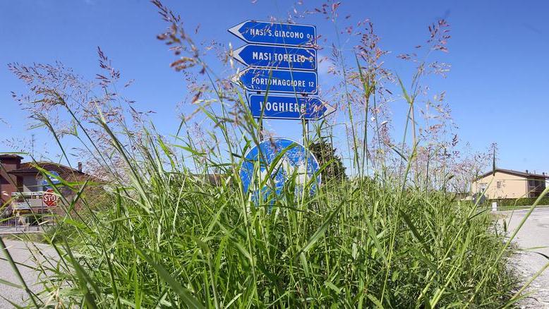 Visibilità ridotta per l’erba troppo alta