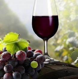 Grande festa per la nuova sede delle Cantine di Orgosolo 