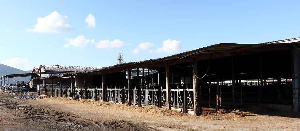 Da allevatori a viticoltori: un futuro per Marinella 