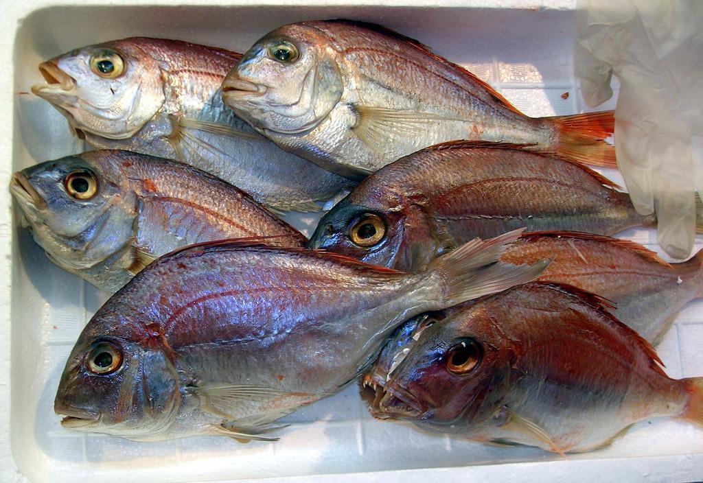 San Martino, i vicini insorgono contro il ristorante: «C’è troppa puzza di pesce» 