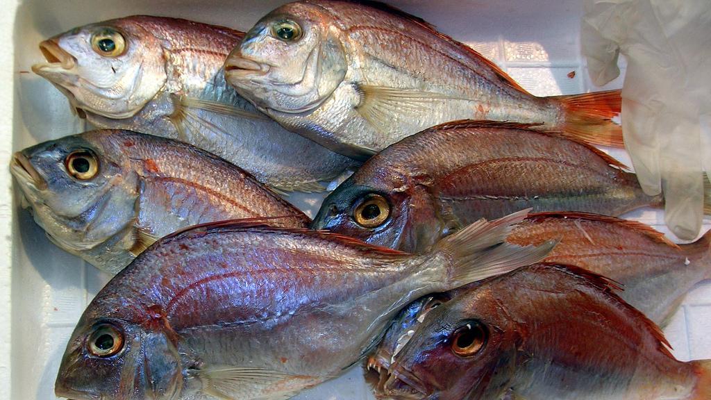 San Martino, i vicini insorgono contro il ristorante: «C’è troppa puzza di pesce»