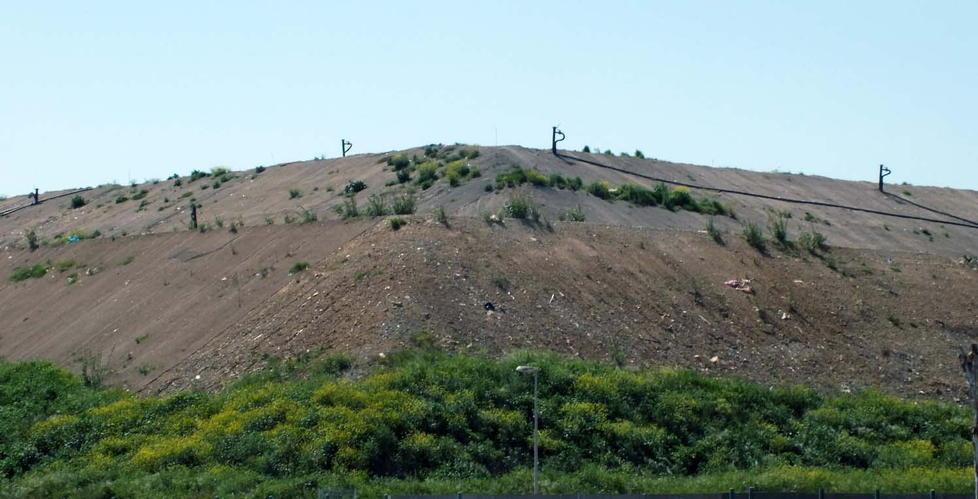 Comitato di Colmata «Minacce assurde» 