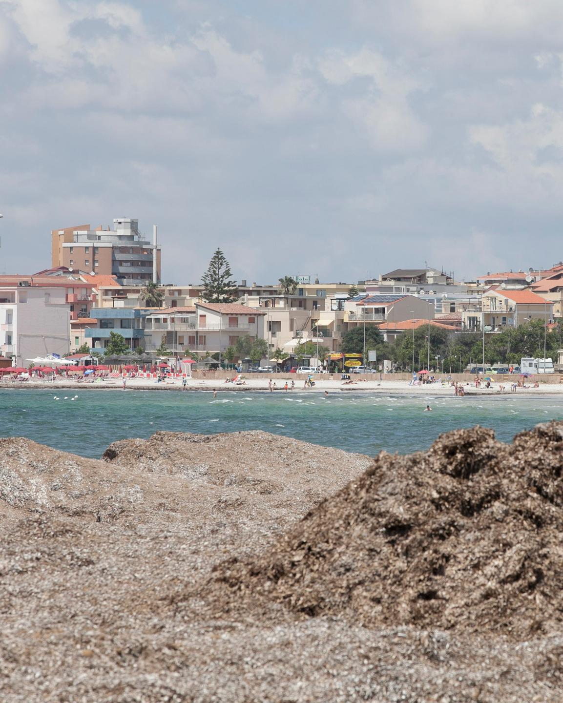Posidonia, puliranno anche i privati 
