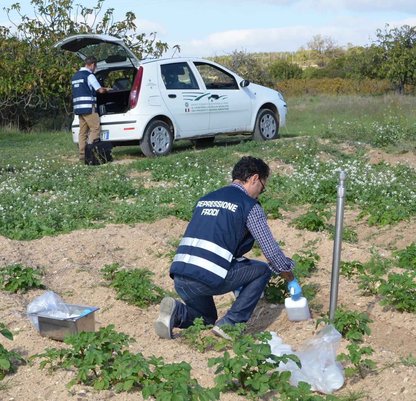 L’esercito di ispettori in lotta contro i pirati dell’agroalimentare 