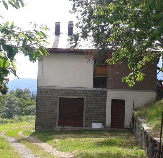 Un’attività agro-forestale nel Podere di Pian dei Termini