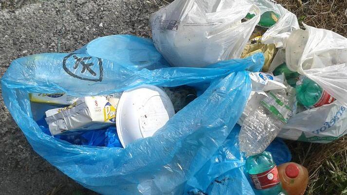 Cinghiale morto tra i rifiuti abbandonati