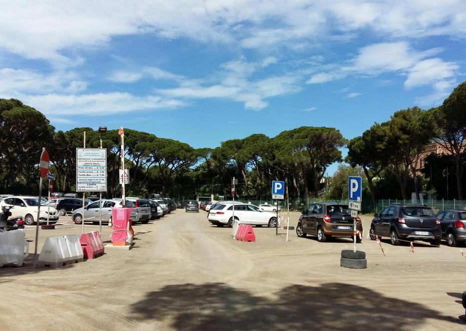 Posti auto nella pineta M5S chiede un referendum 