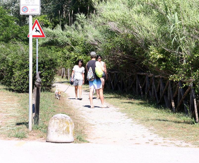 Piano per Torre del Lago con 8 milioni di interventi 