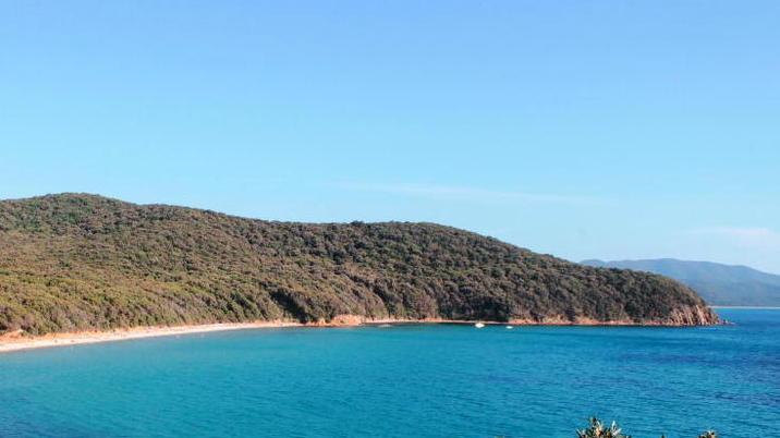La meravigliosa spiaggia di Cala Violina a Scarlino