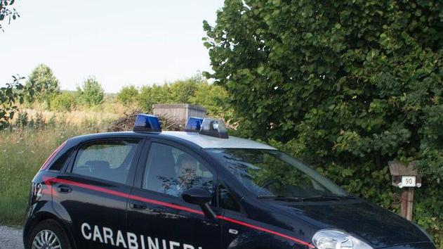 Sedicenne cade da un albero a Soliera e si ferisce