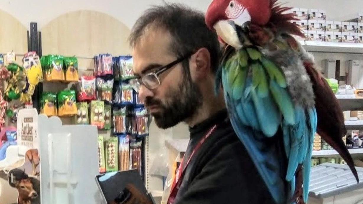 «Negozio per animali, era il mio desiderio»