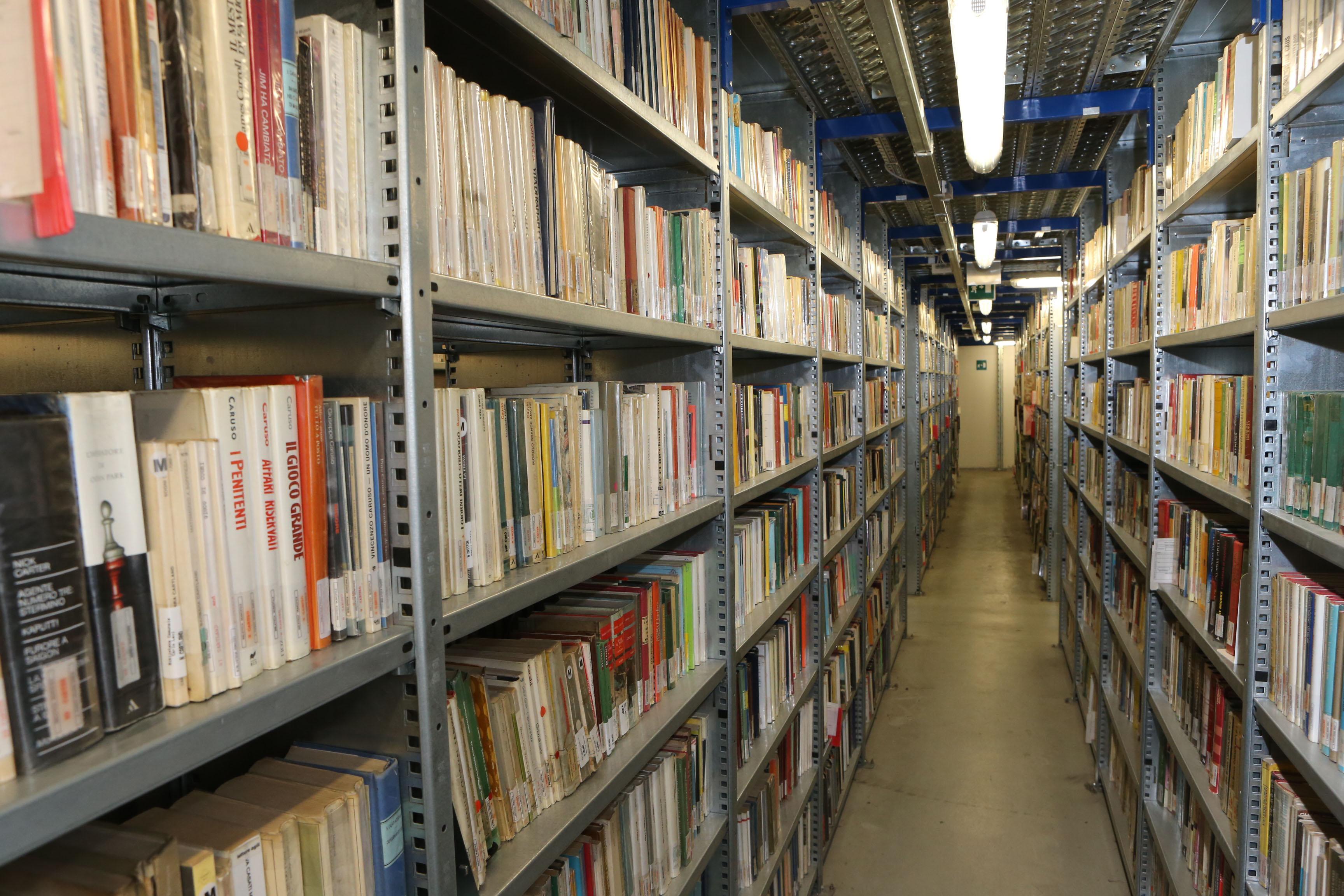 Direttrice non toglie i libri gender dalla biblioteca e viene trasferita: Reggio Emilia si mobilita 