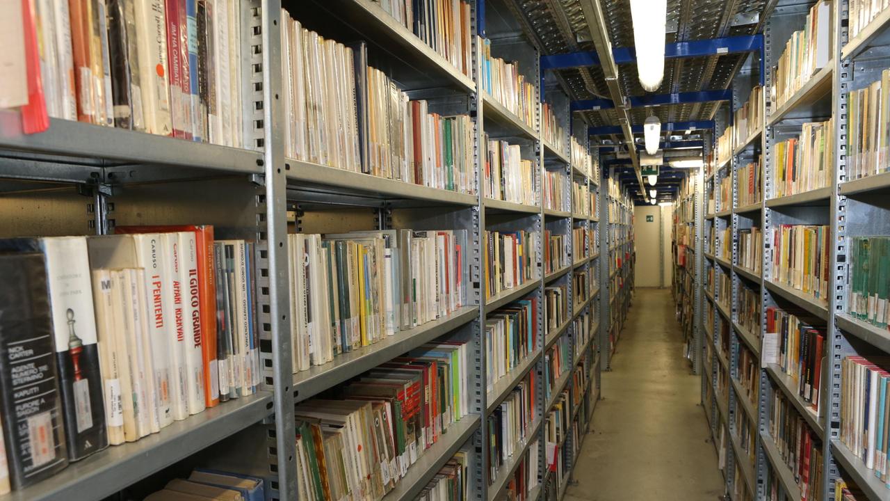 Direttrice non toglie i libri gender dalla biblioteca e viene trasferita: Reggio Emilia si mobilita