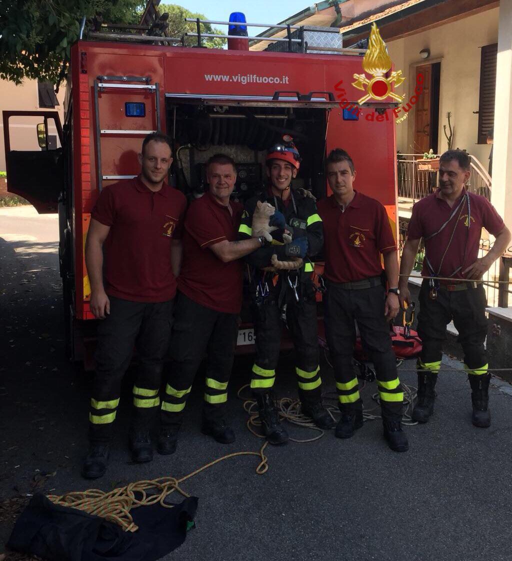 I vigili del fuoco con il gatto appena recuperato